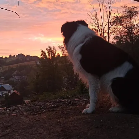 Pod Mala Gora 아파트