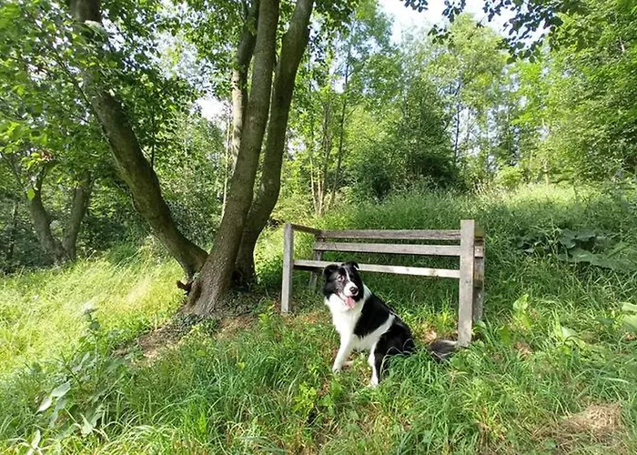 דירה Pod Mala Gora