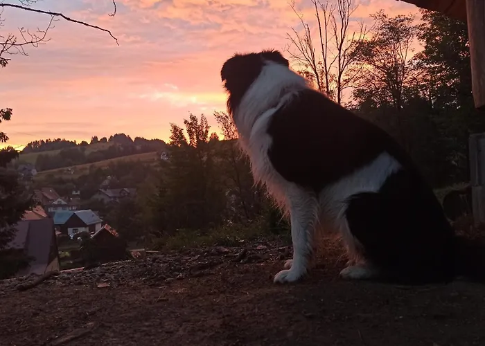 Pod Mala Gora דירה